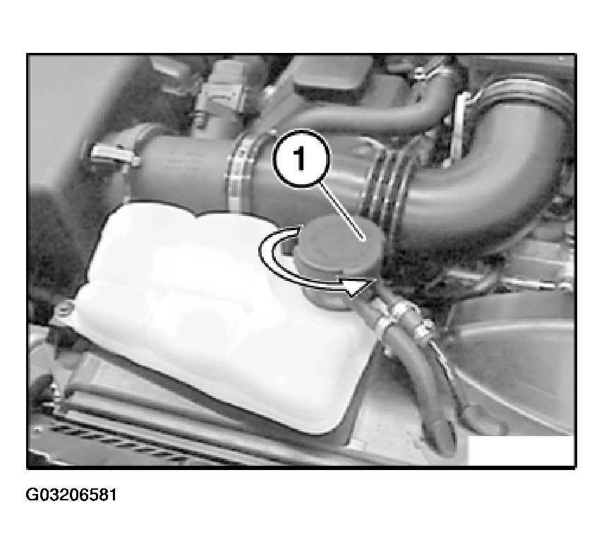 G03206581