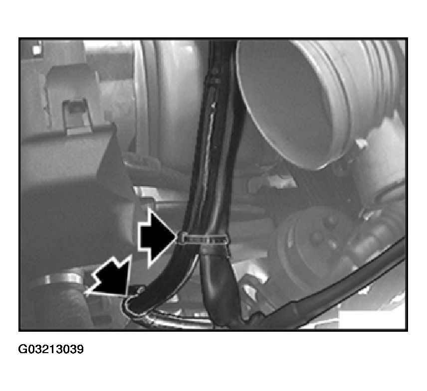 G03213039
