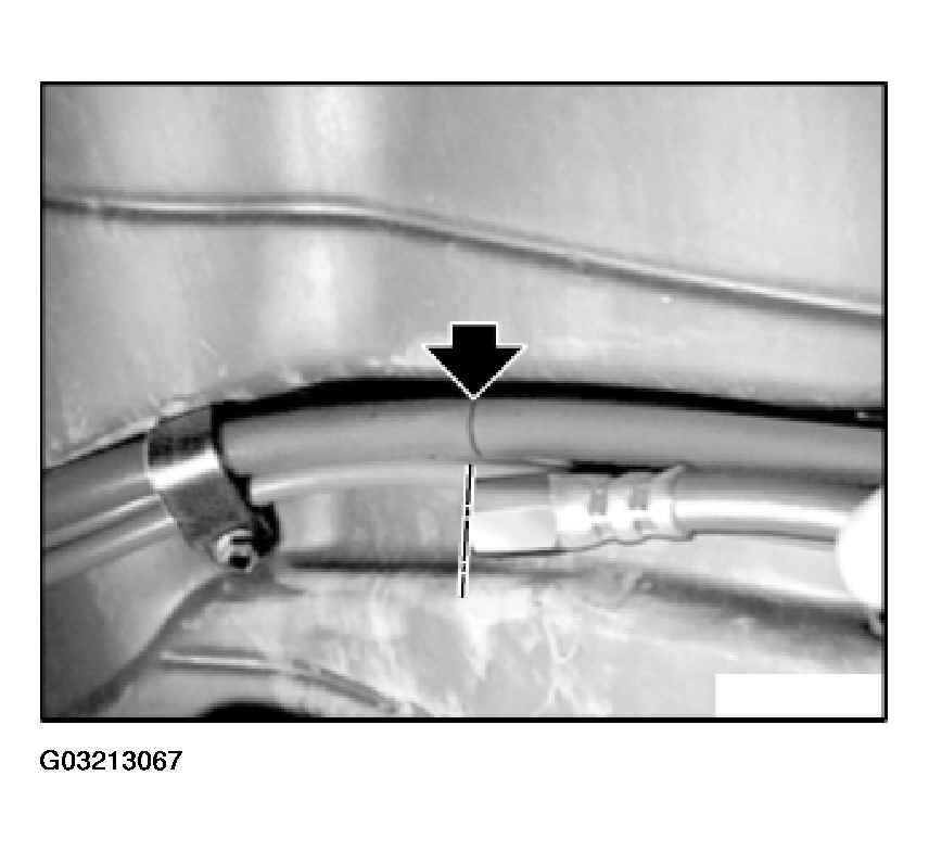 G03213067