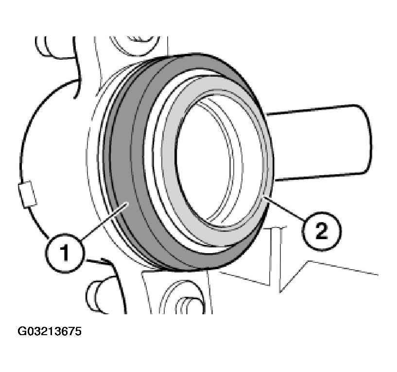 G03213675