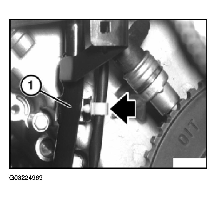 G03224969