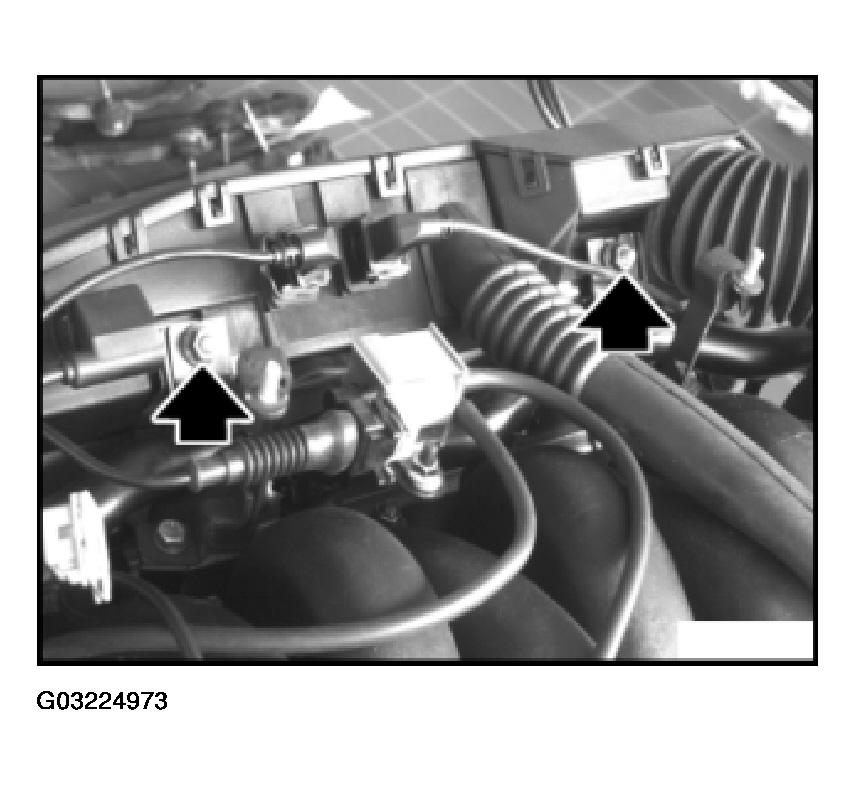 G03224973
