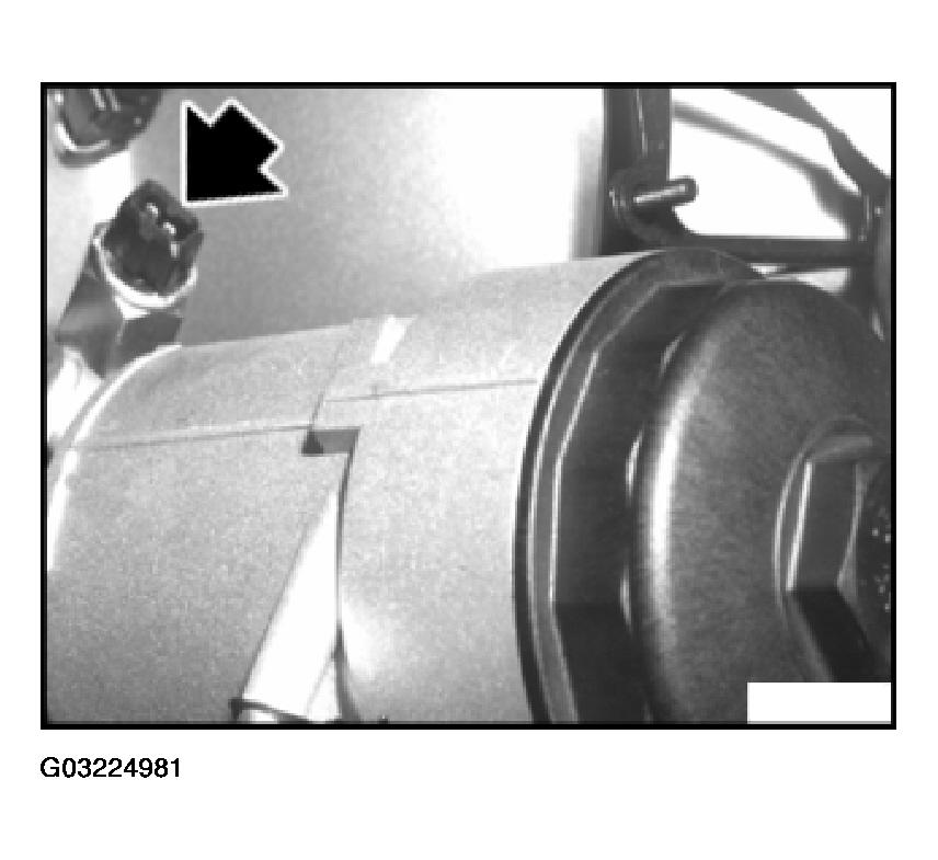 G03224981