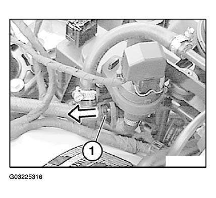 G03225316