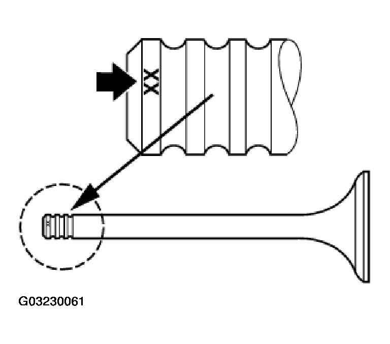 G03230061