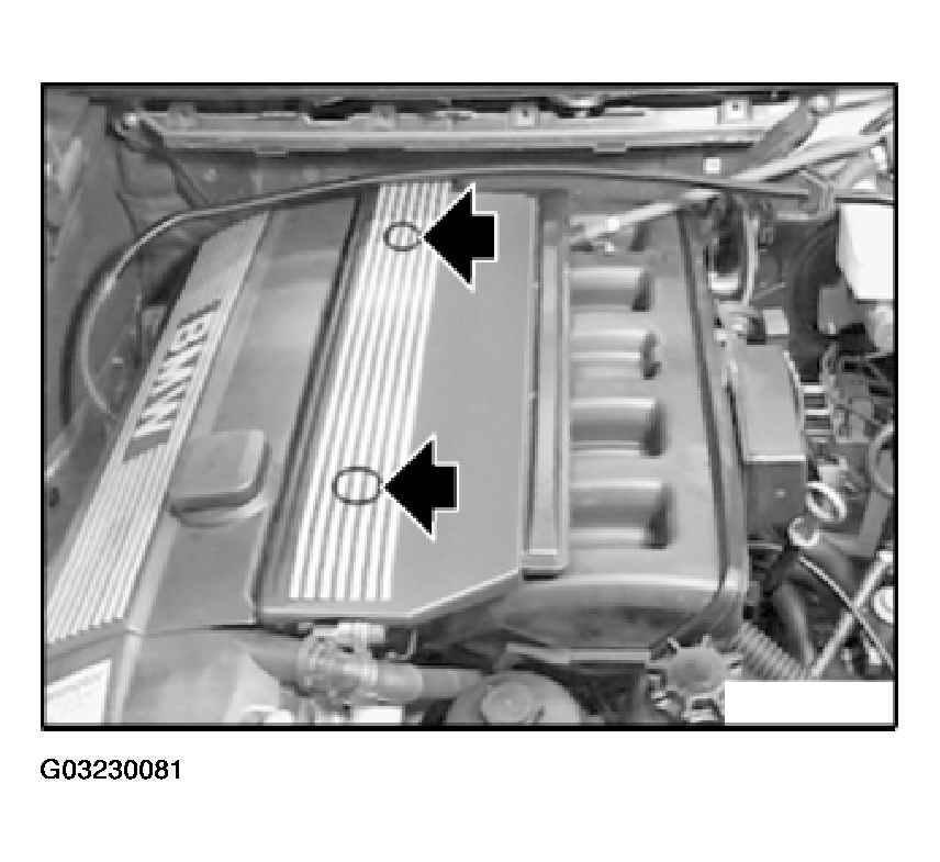 G03230081