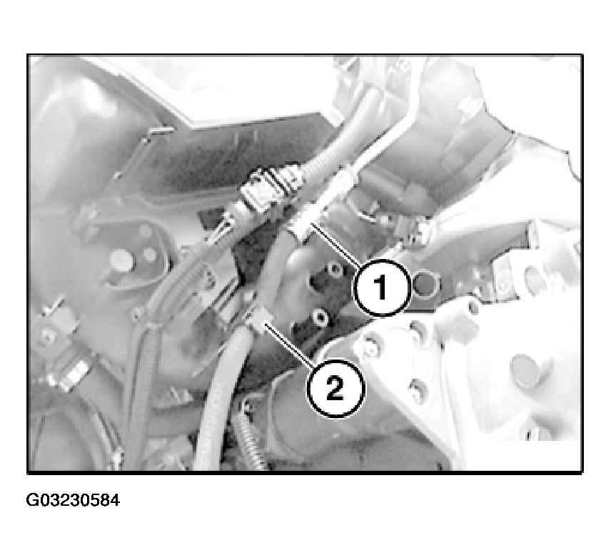 G03230584