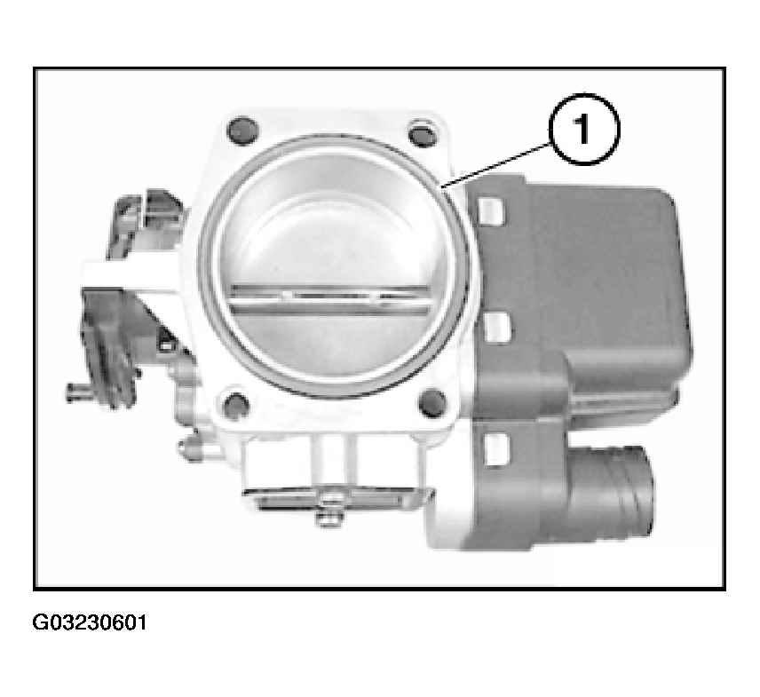 G03230601