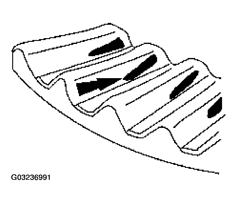 G03236991