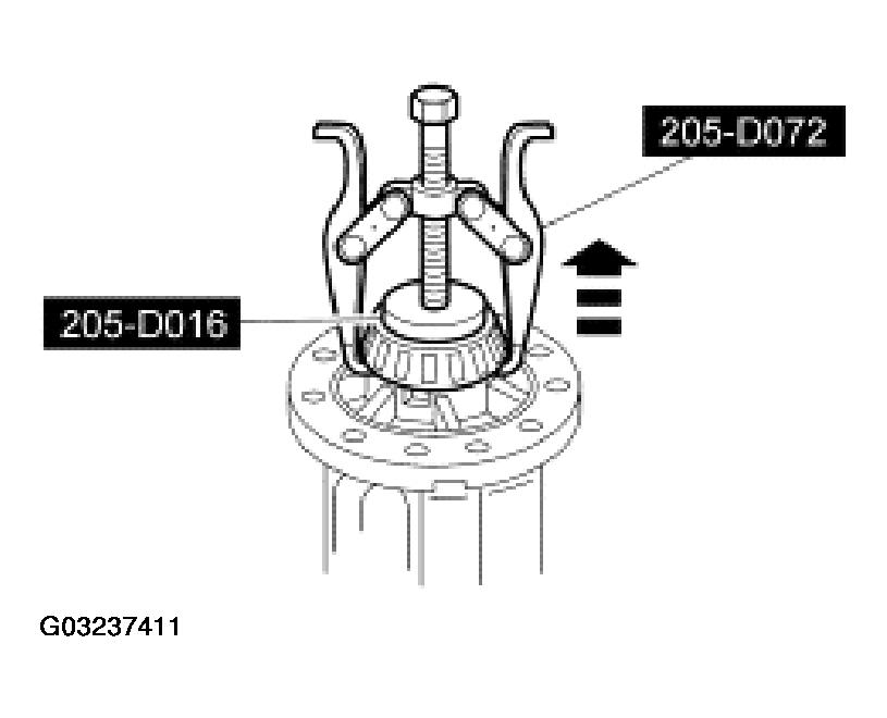 G03237411