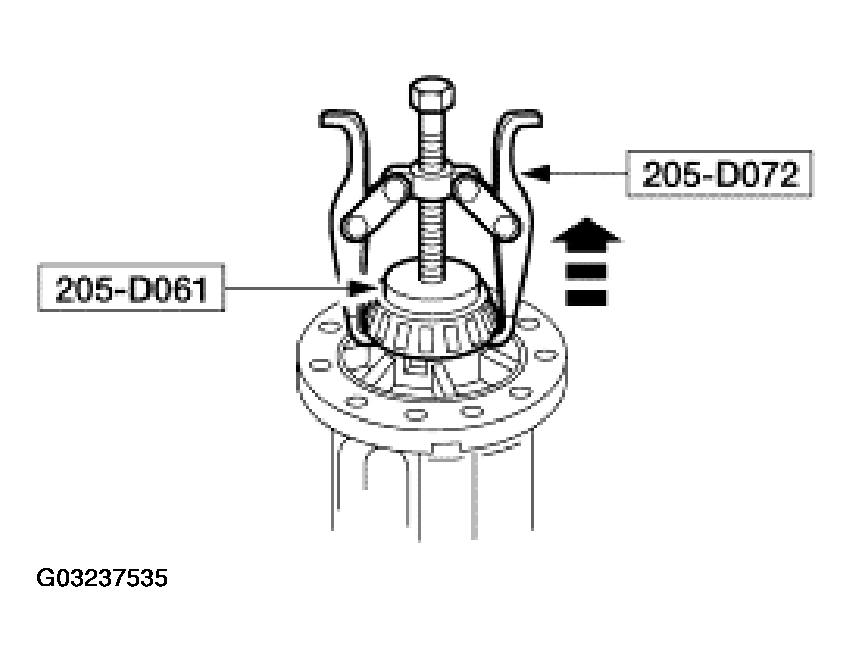 G03237535
