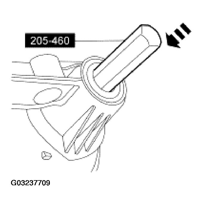 G03237709