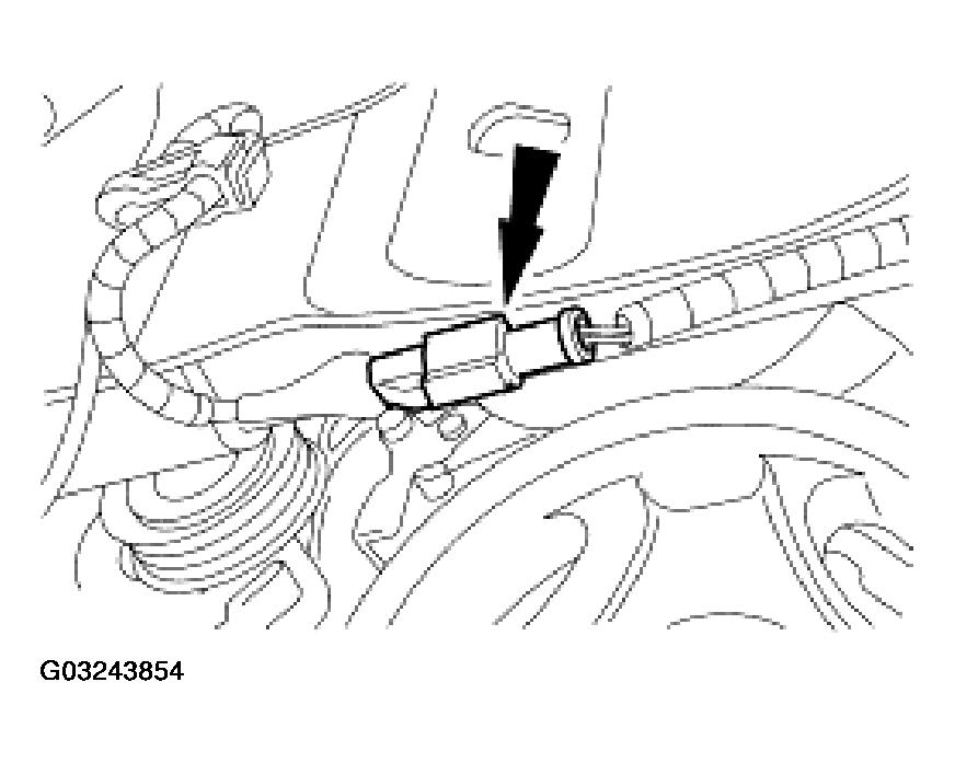 G03243854