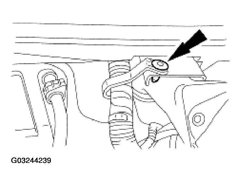 G03244239