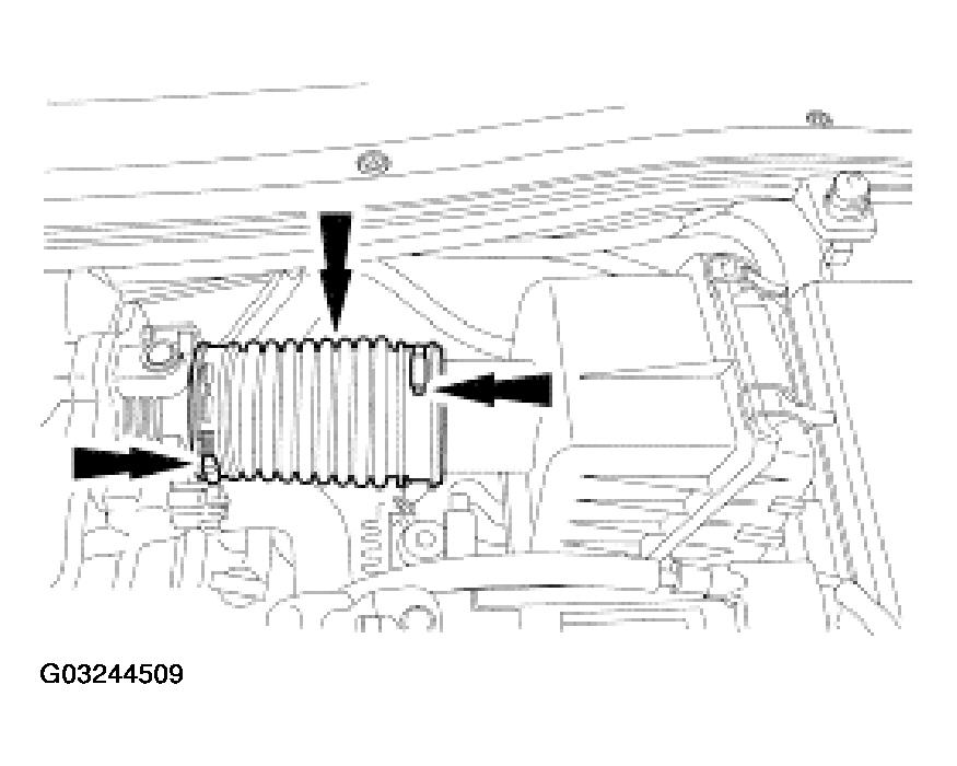 G03244509