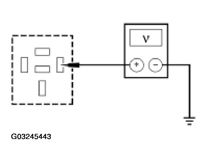G03245443