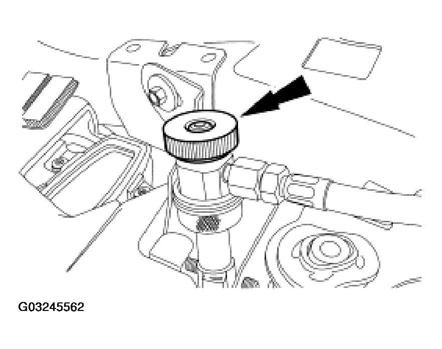 G03245562