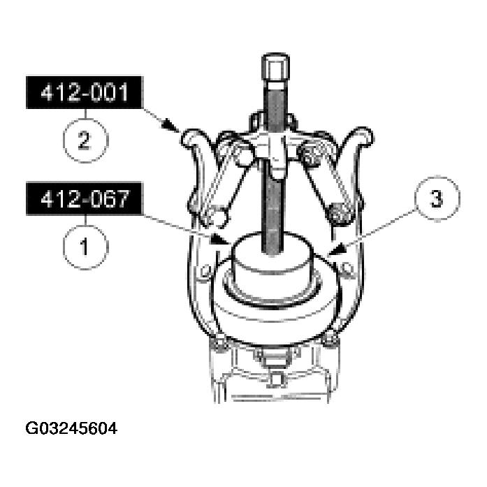G03245604