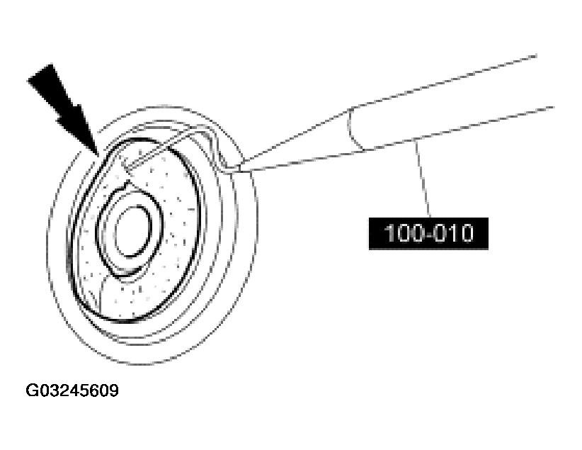 G03245609