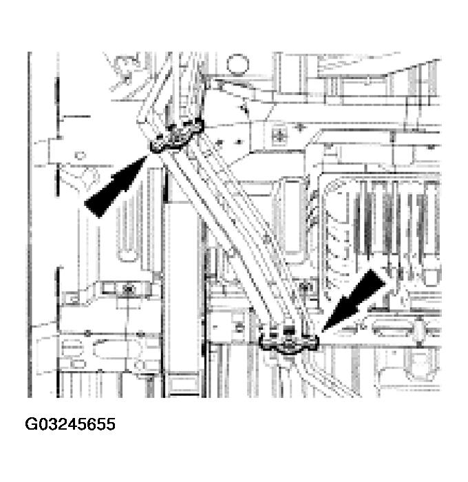 G03245655