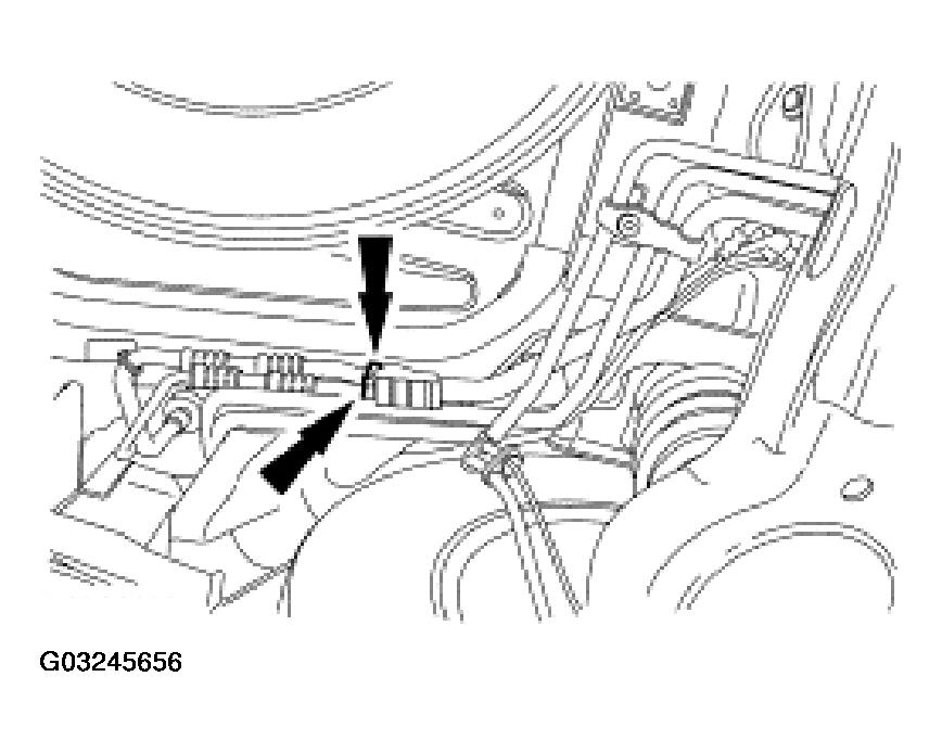 G03245656