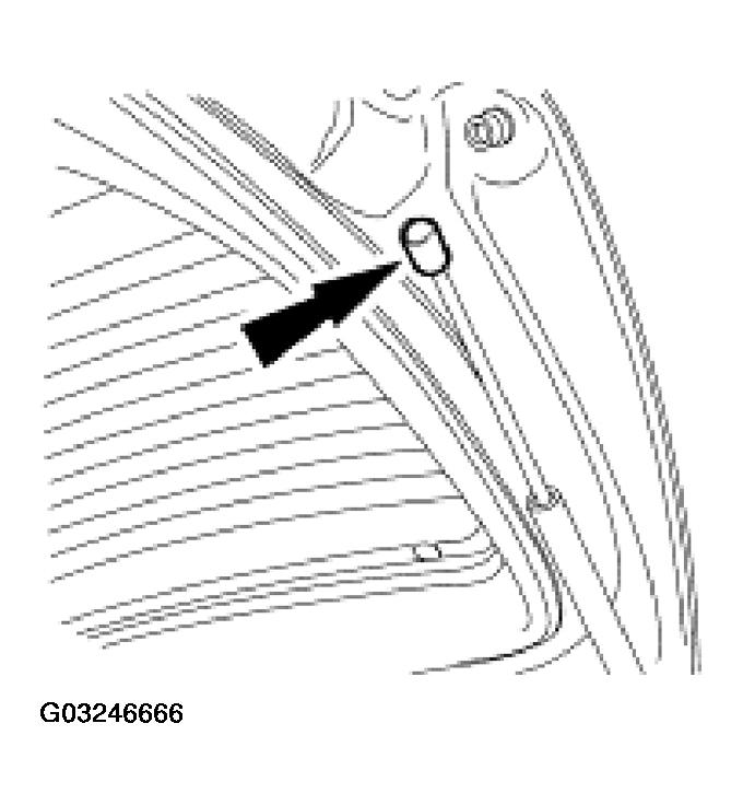 G03246666