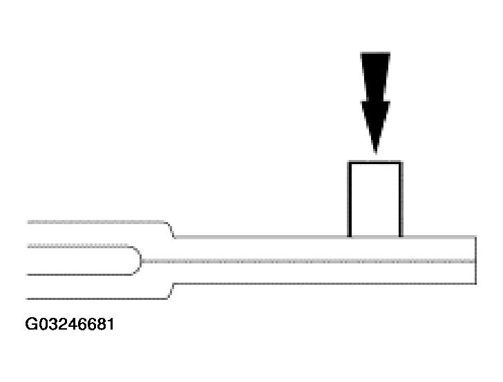 G03246681