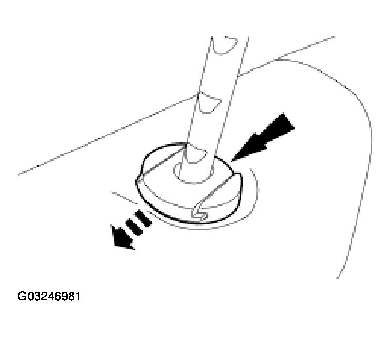 G03246981