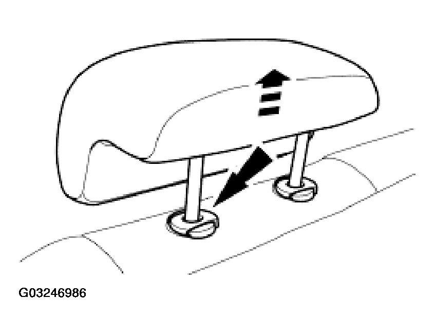G03246986