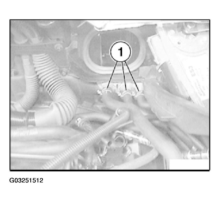 G03251512