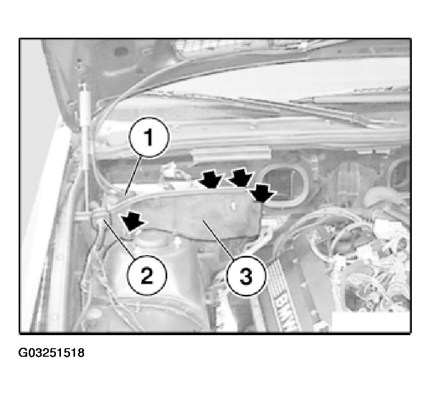 G03251518
