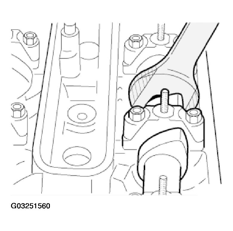 G03251560
