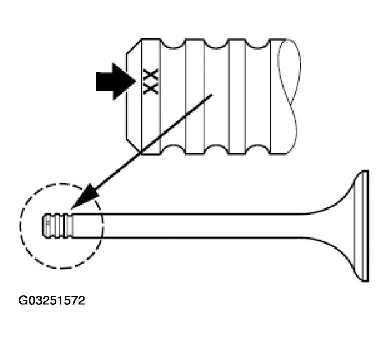 G03251572