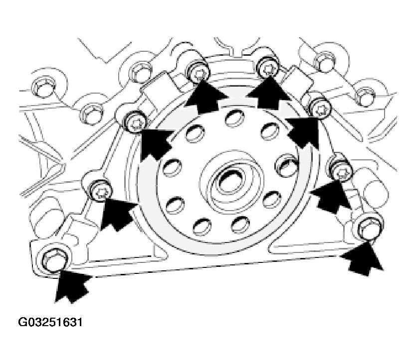 G03251631