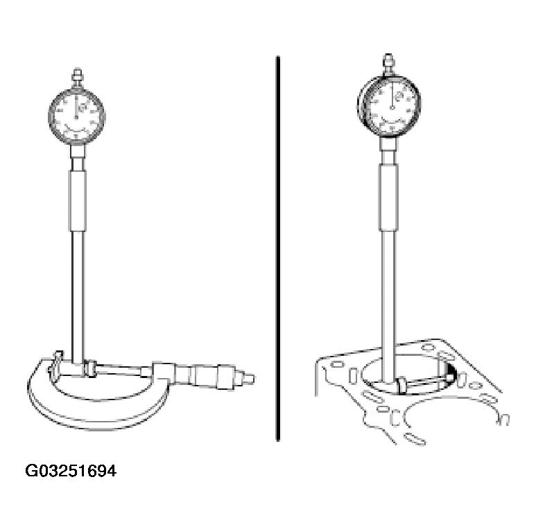 G03251694