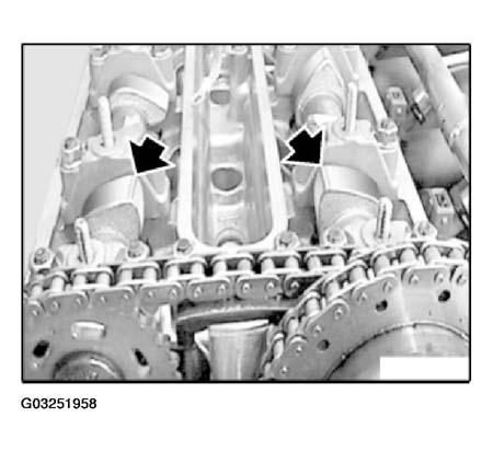 G03251958