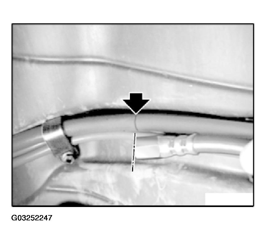 G03252247