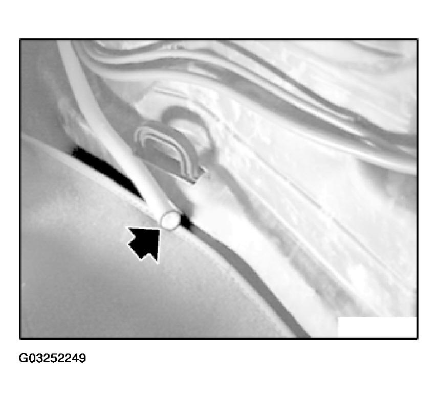 G03252249