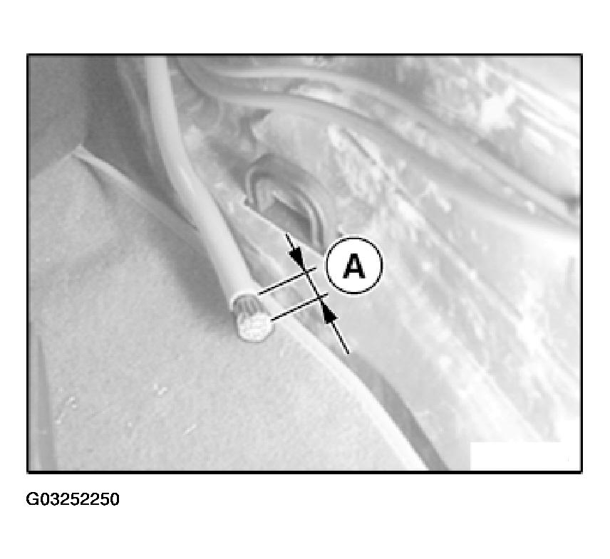 G03252250
