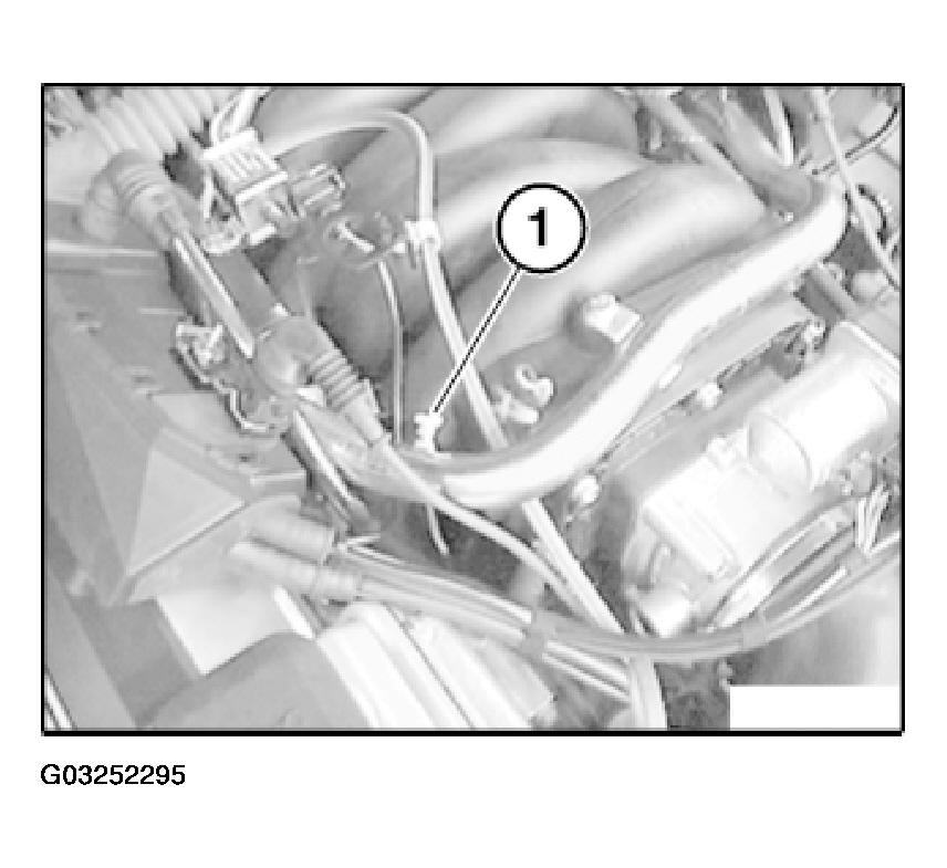 G03252295