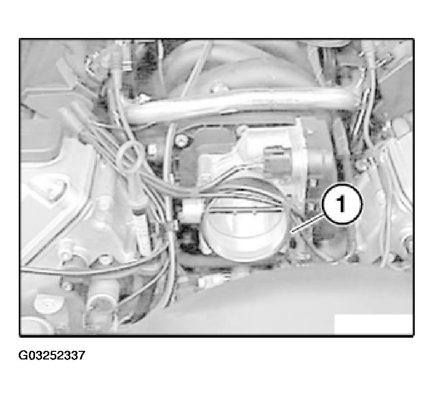 G03252337