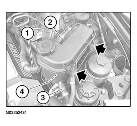 G03252481