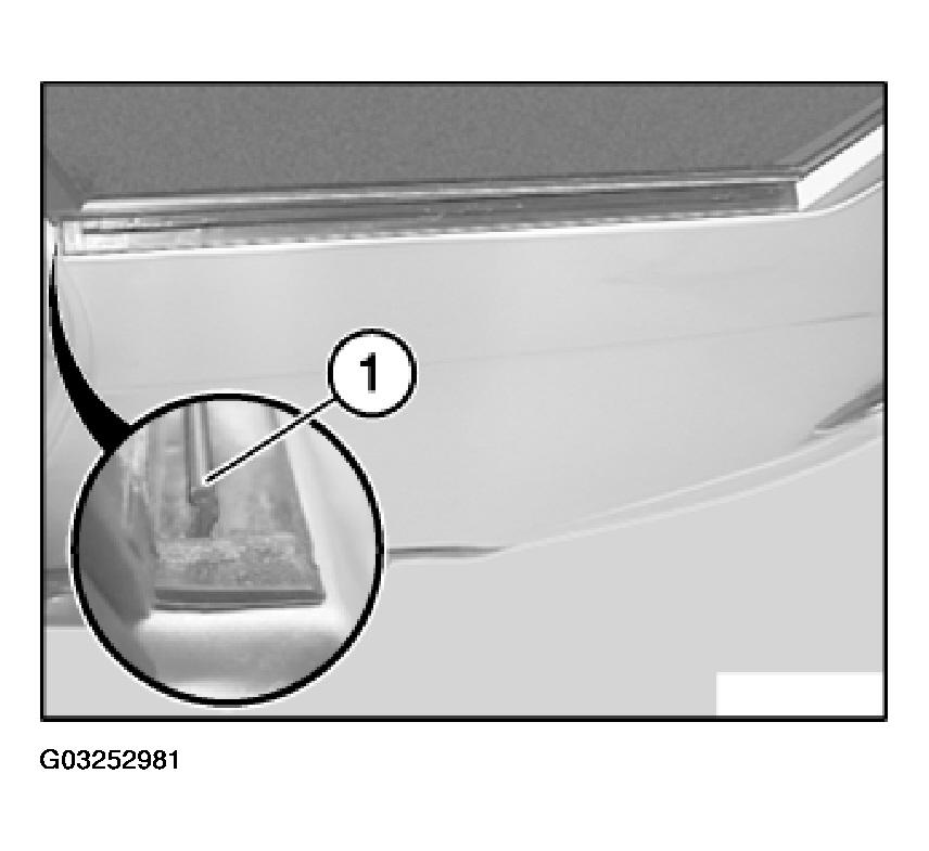 G03252981