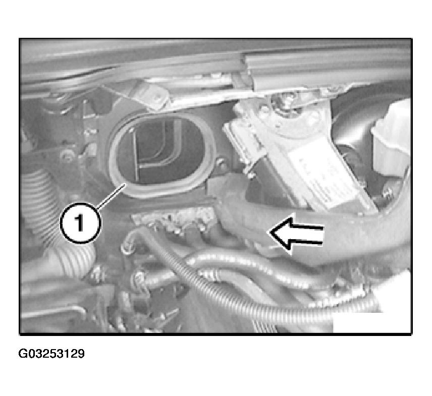 G03253129
