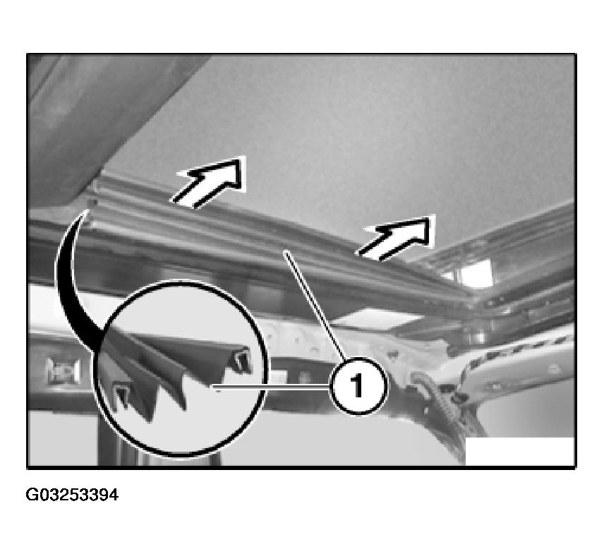 G03253394