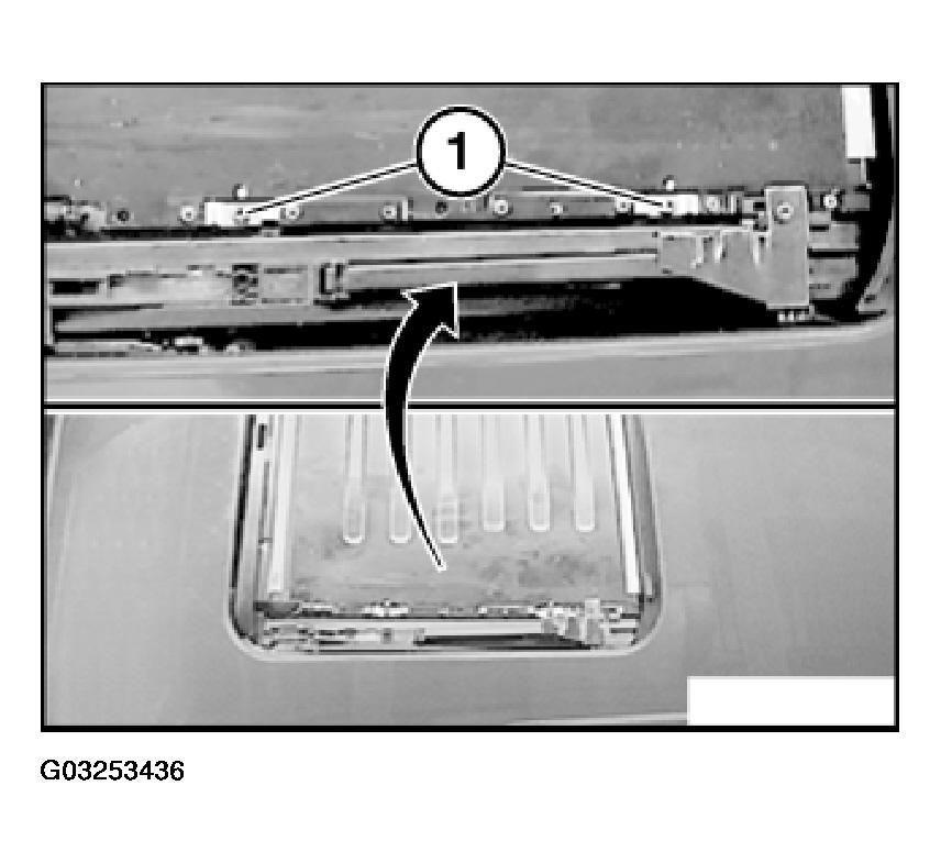 G03253436