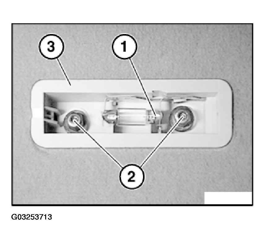 G03253713