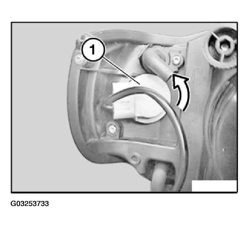 G03253733