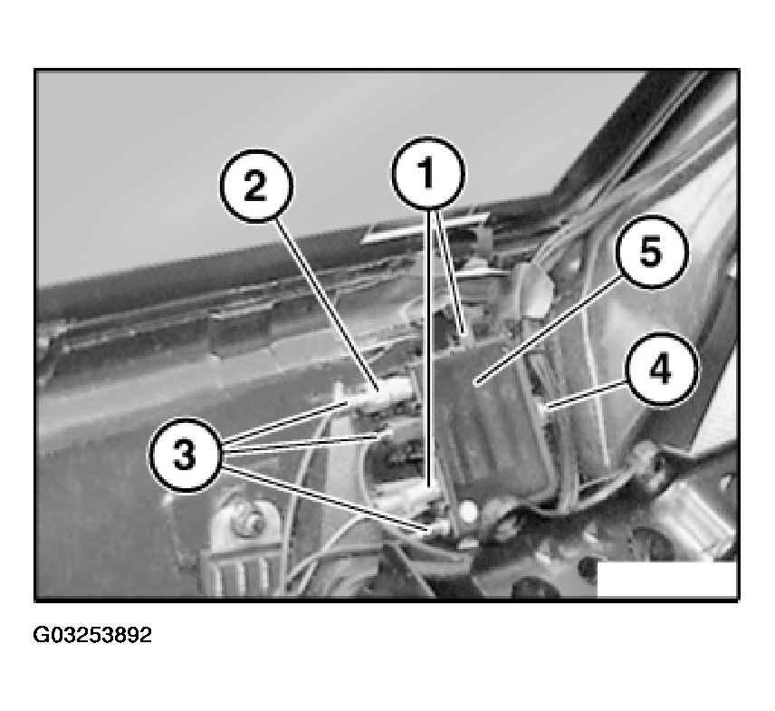 G03253892