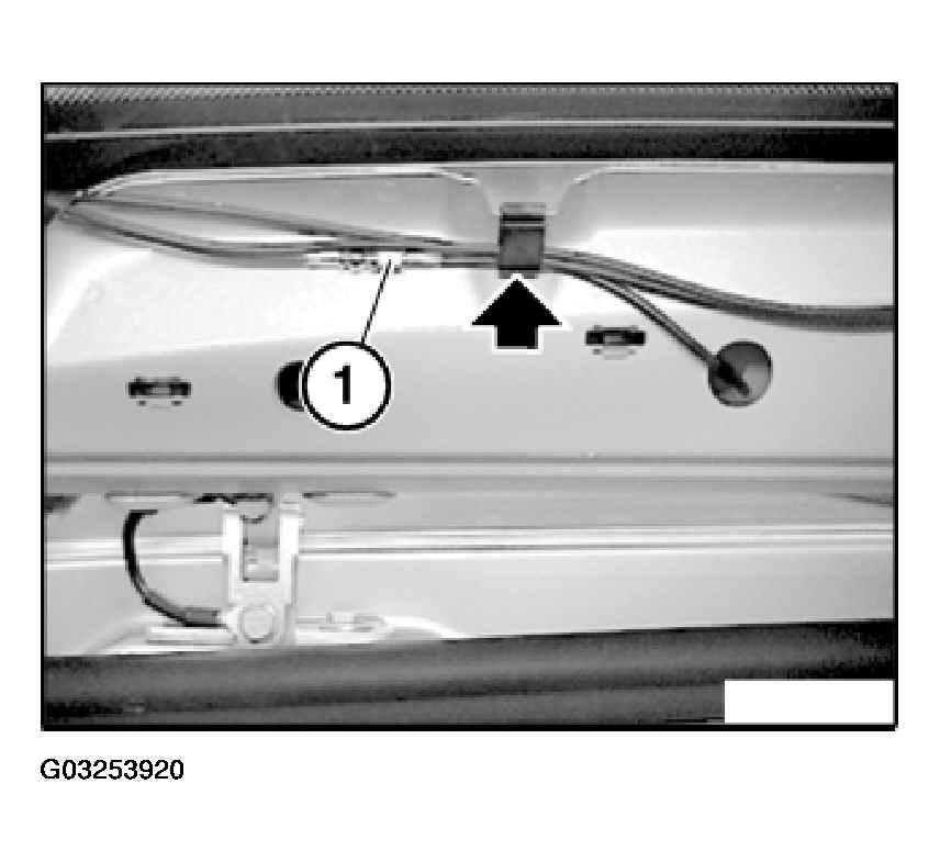 G03253920